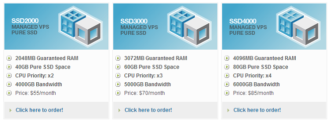 WiredTree Managed ssd vps pricing options